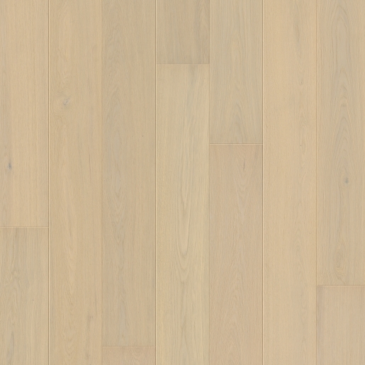 W1248-05122-3_Topshot-CHENE GIVRE.jpg